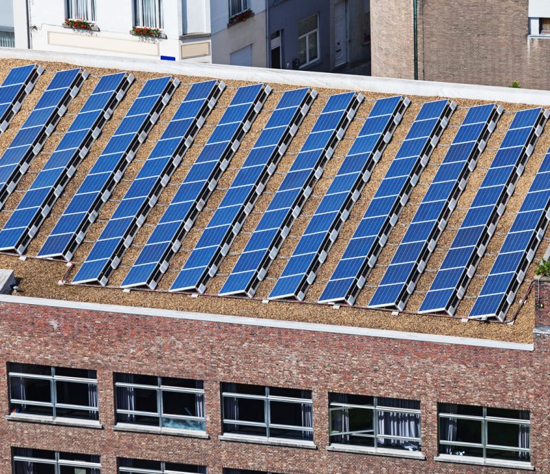 solar panels for businesses