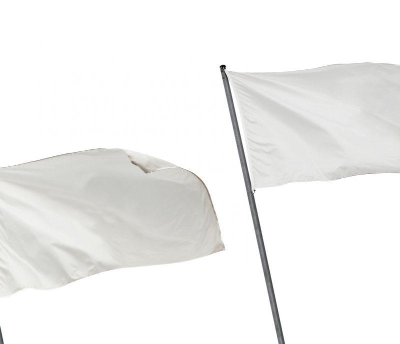 flag ideas