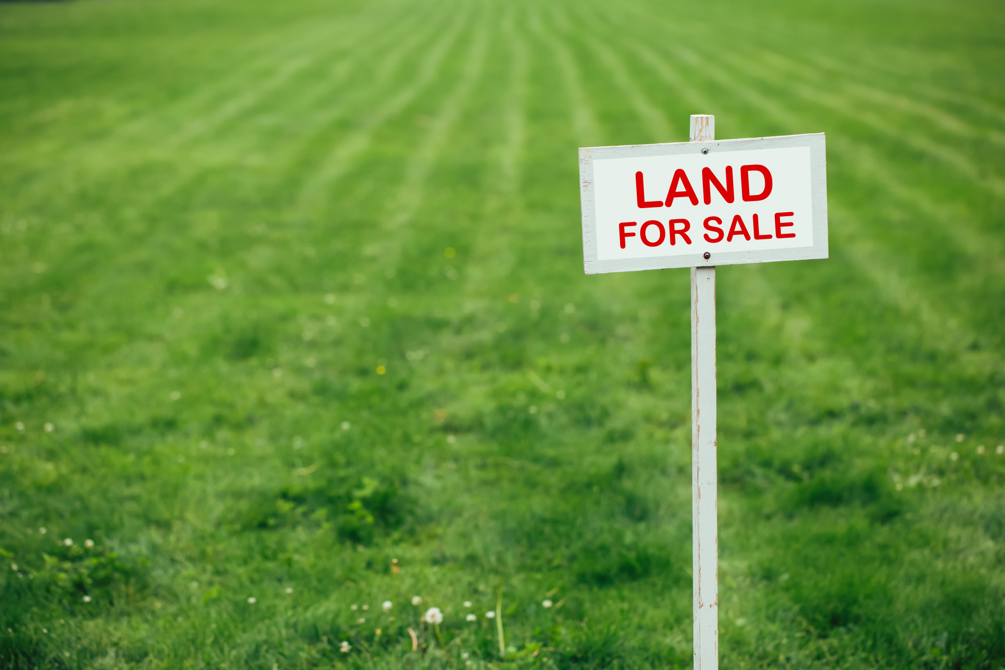 Land For Sale Sign