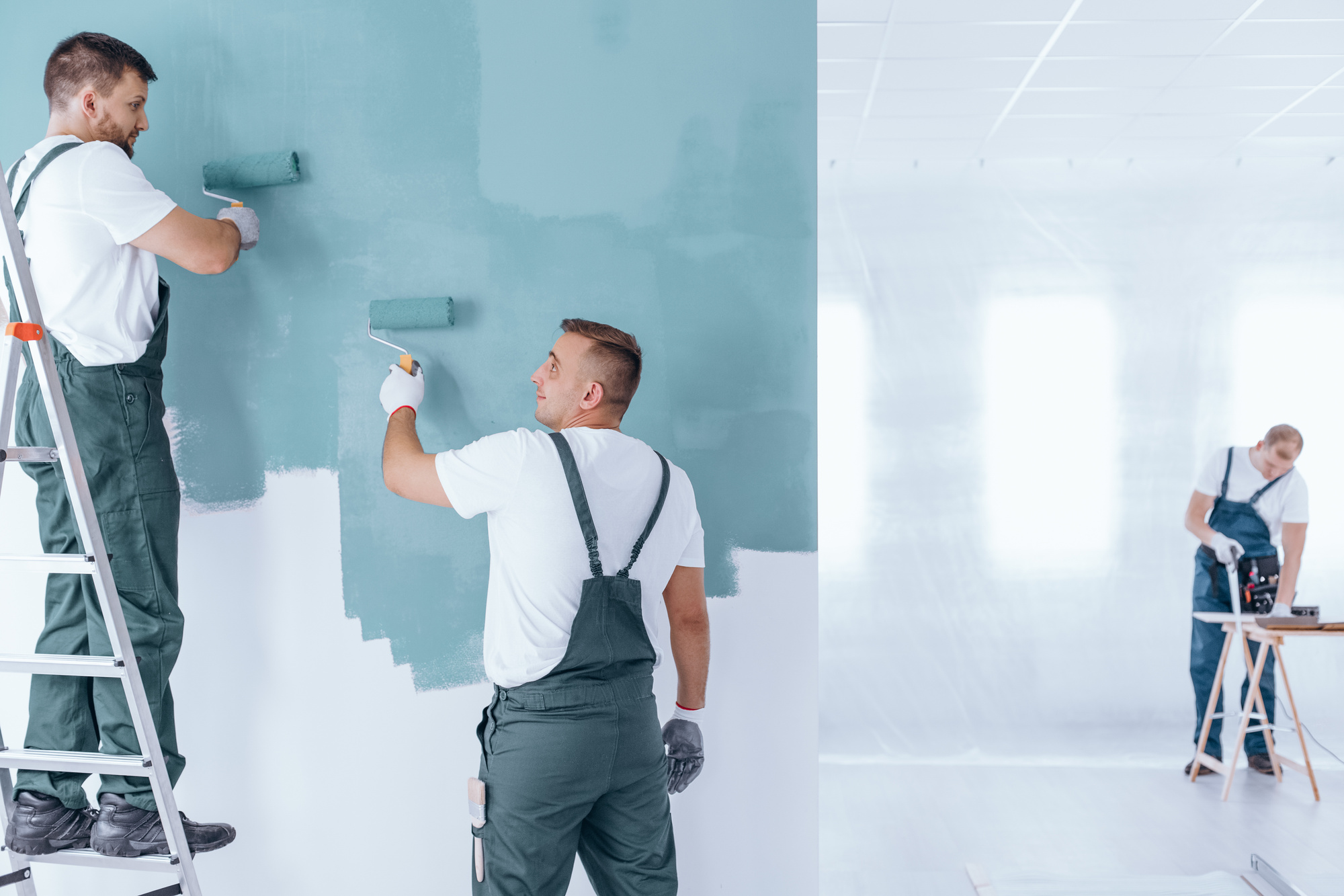 Professional Painter for Interior Jobs